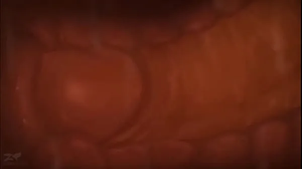 HD Cum dentroproduci film