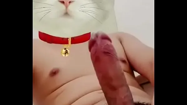 Filmy na jednotce HD The lewd cat