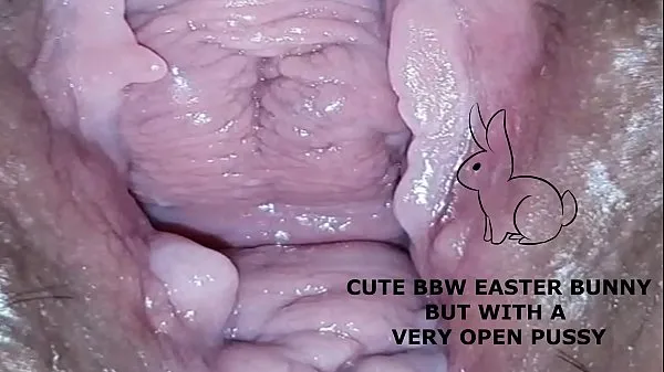 HD Cute bbw bunny, but with a very open pussy 드라이브 영화
