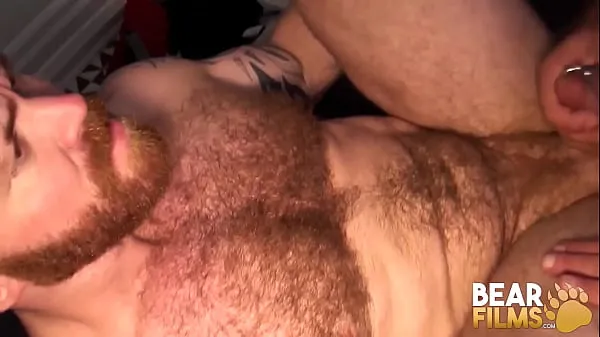 HD Obese Bears Bareback After Dick Sucking mendorong Film